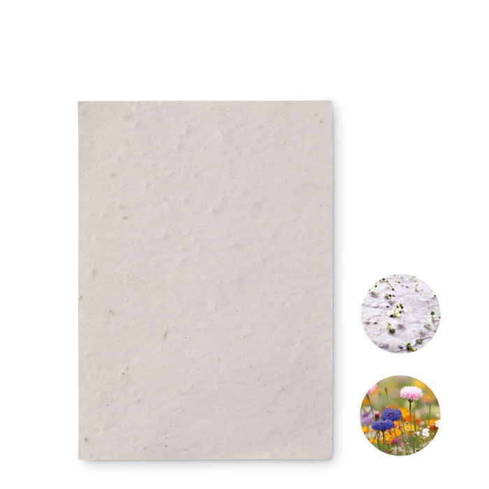 Papier EcoSeeds - Alise-Sainte-Reine