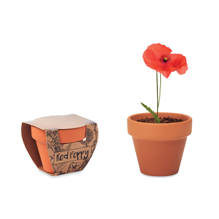 Pot à graines de coquelicot personnalisé - Flora - Zaprinta France