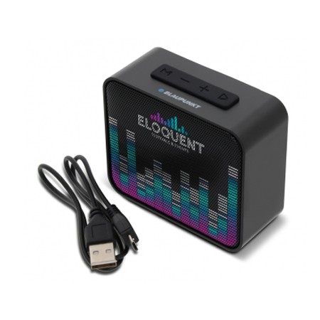 blaupunkt.jpg - Zaprinta France