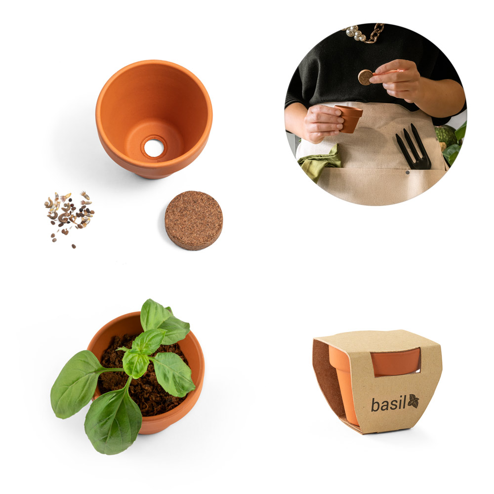 Kit de Pot de Basilic - Vernantes